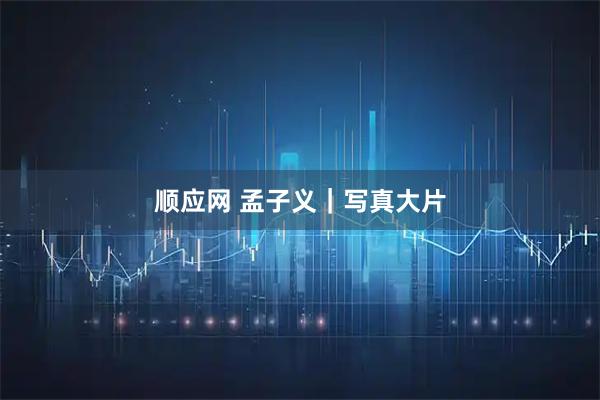 顺应网 孟子义｜写真大片