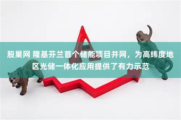 股巢网 隆基芬兰首个储能项目并网，为高纬度地区光储一体化应用提供了有力示范