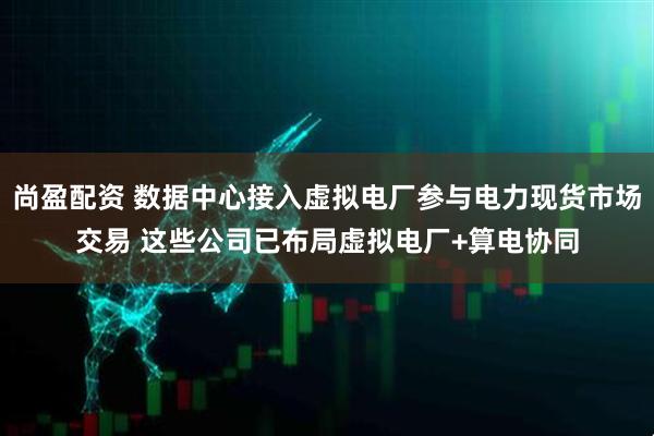 尚盈配资 数据中心接入虚拟电厂参与电力现货市场交易 这些公司已布局虚拟电厂+算电协同